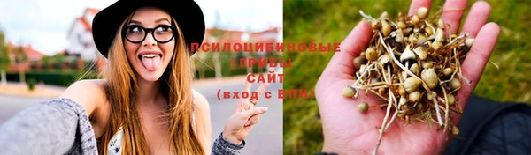 соль ск Богородицк