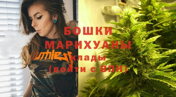 ПСИЛОЦИБИНОВЫЕ ГРИБЫ Белокуриха