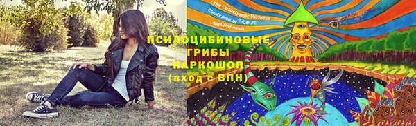 ПСИЛОЦИБИНОВЫЕ ГРИБЫ Белокуриха