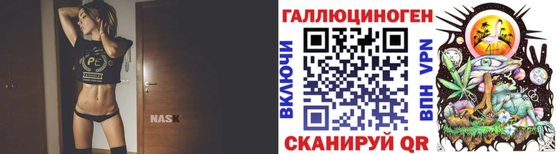 где найти   Кедровый  Галлюциногенные грибы Psilocybine cubensis 